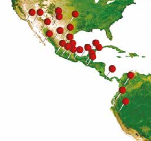 Envios a Sudamerica Envios a Sudamerica